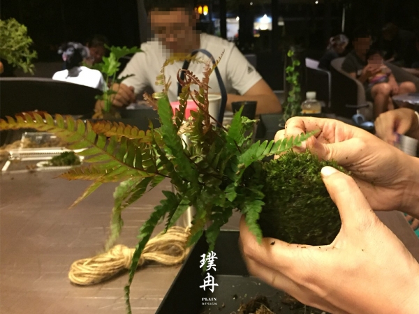 元氣苔球課程